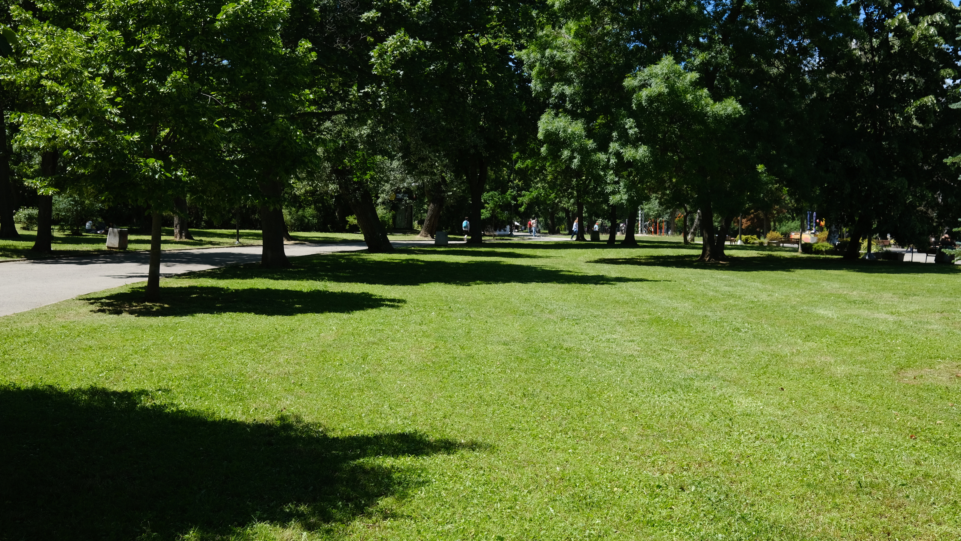 DSCF5790.JPG