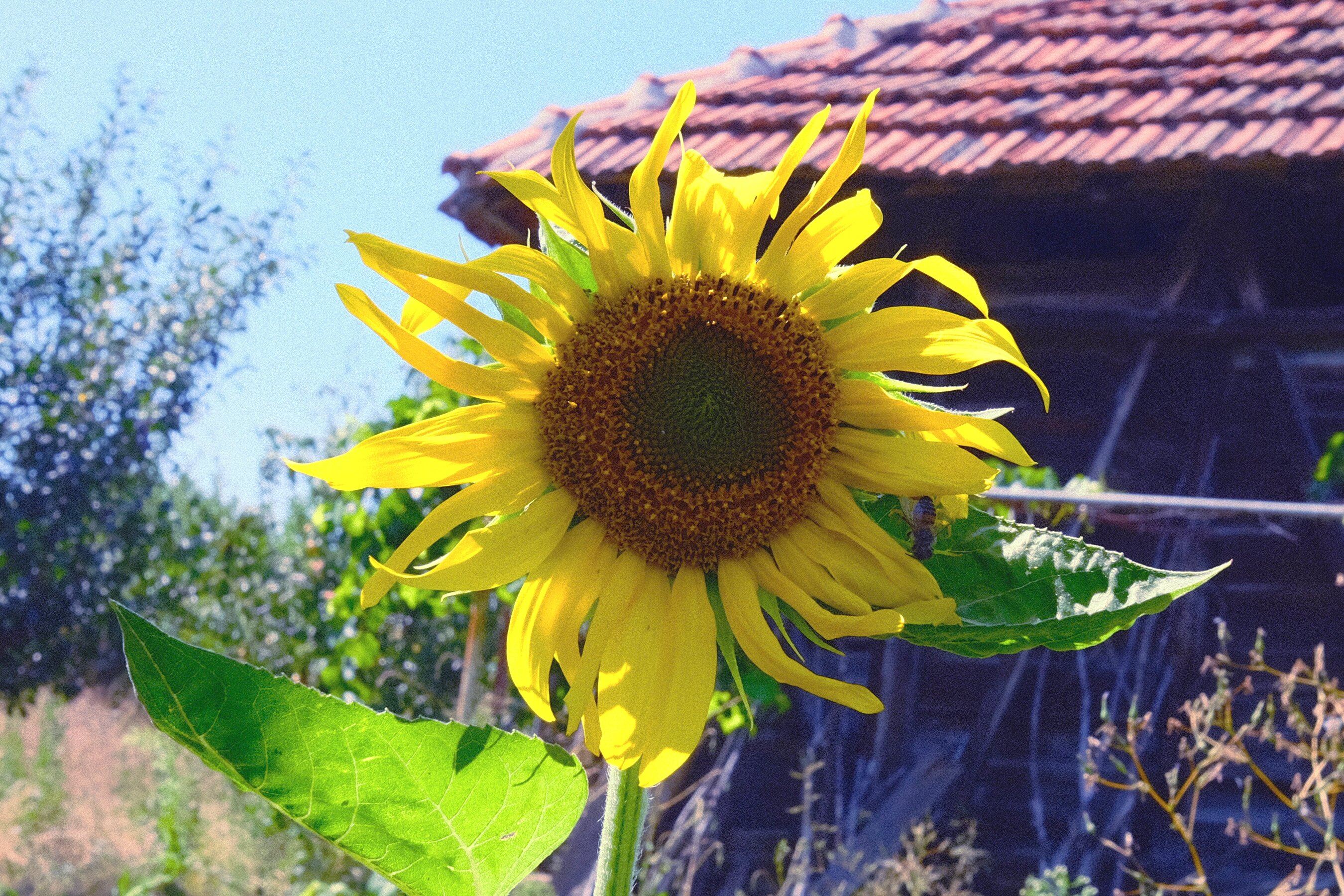 DSCF8607.JPG