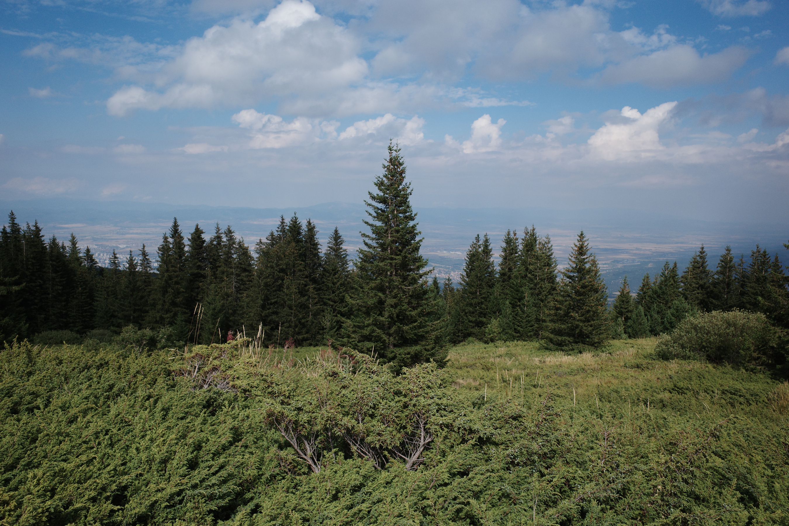 R0020613.jpg