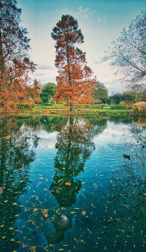 Reflections.jpg