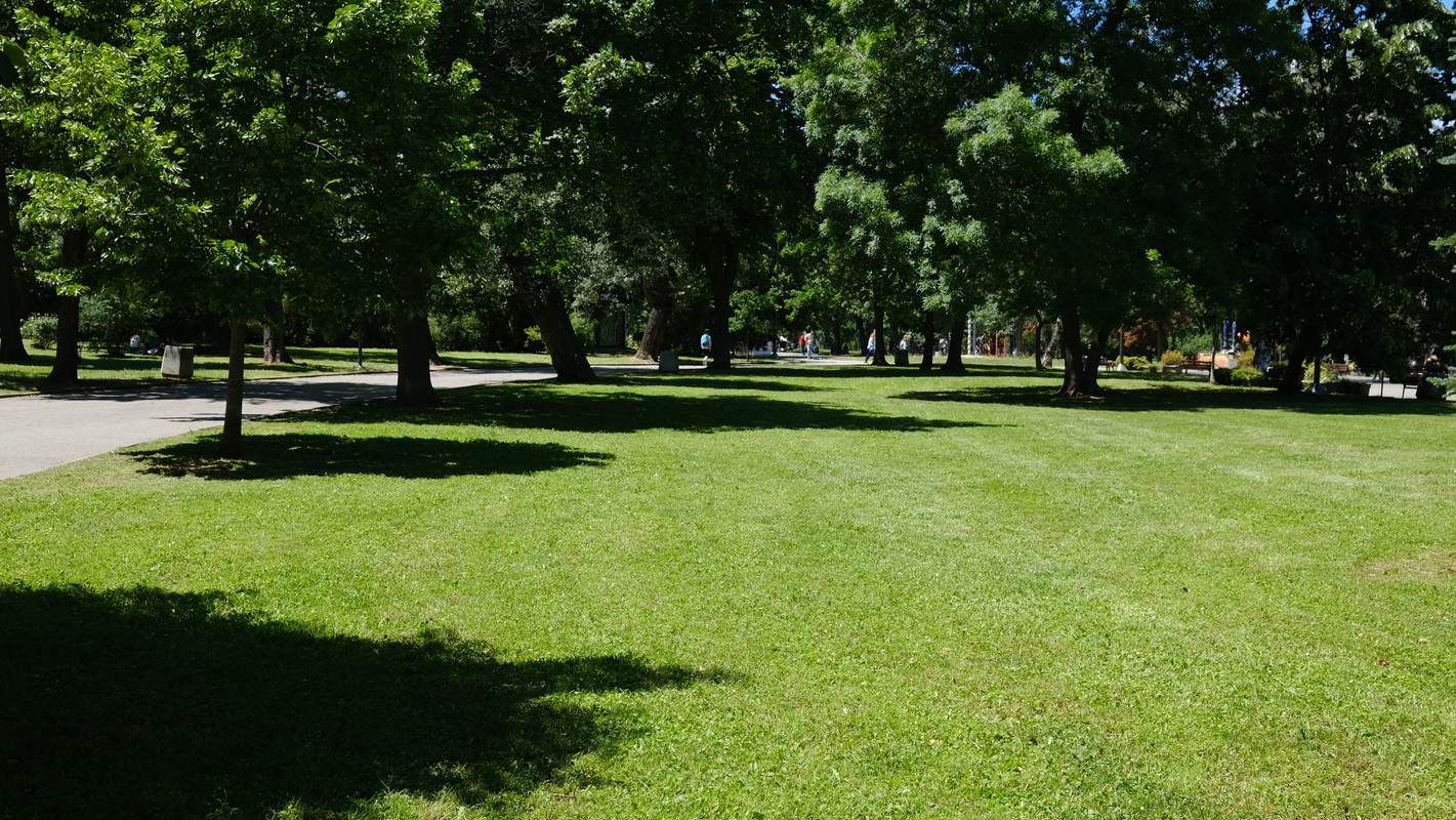 DSCF5790.JPG