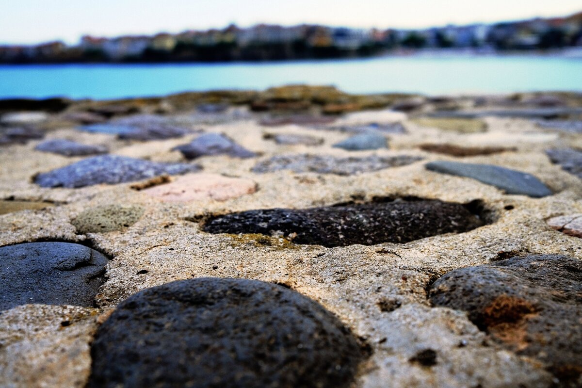 DSCF8390.JPG