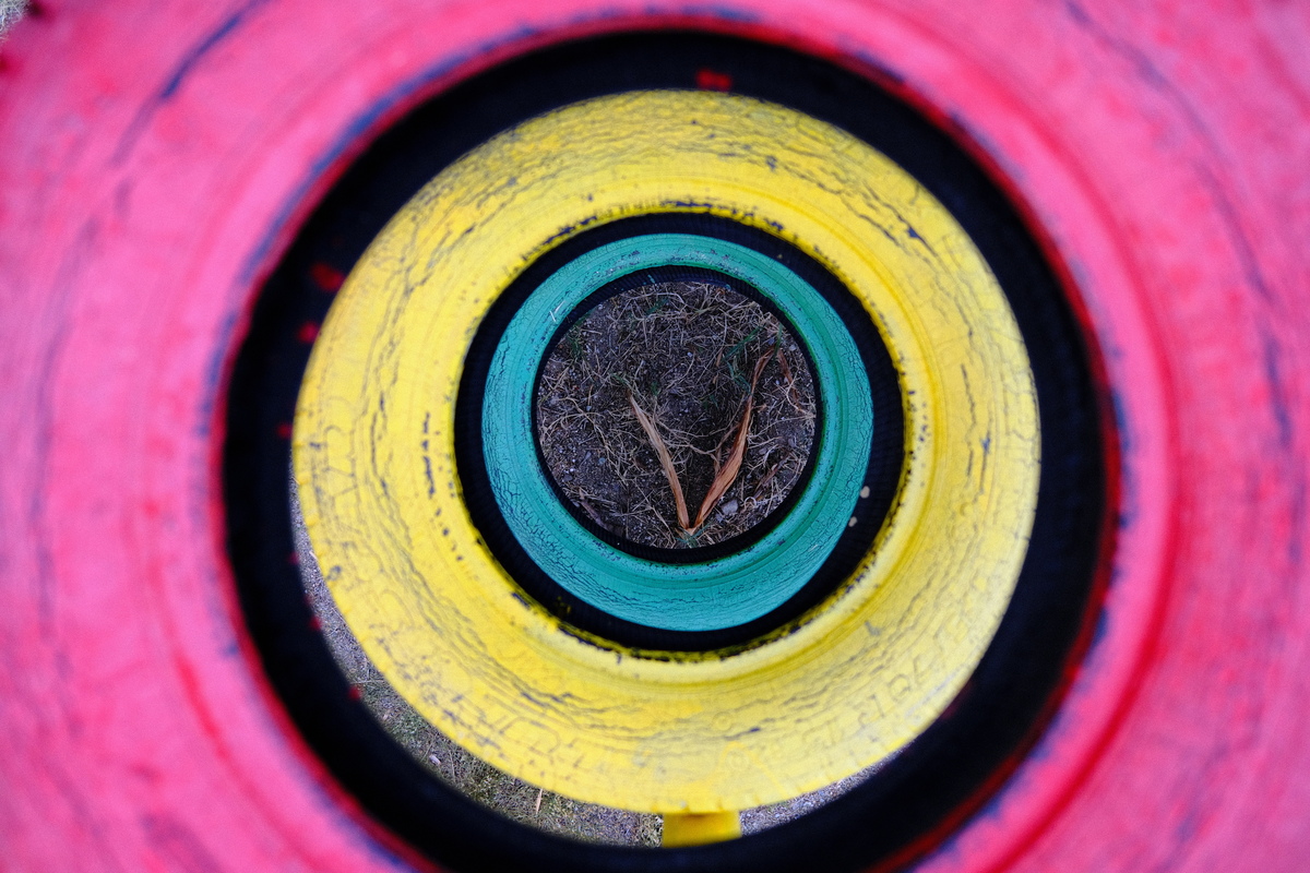 DSCF8737.JPG