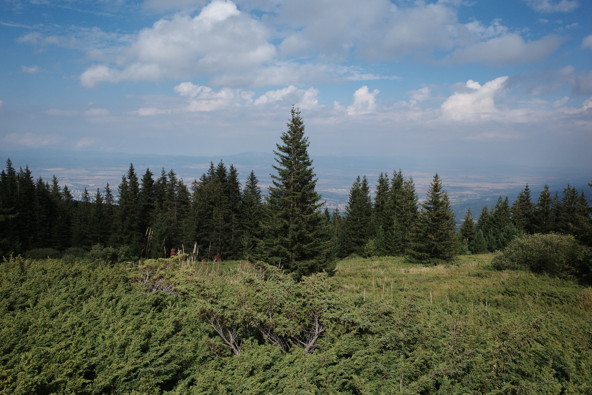 R0020613.jpg