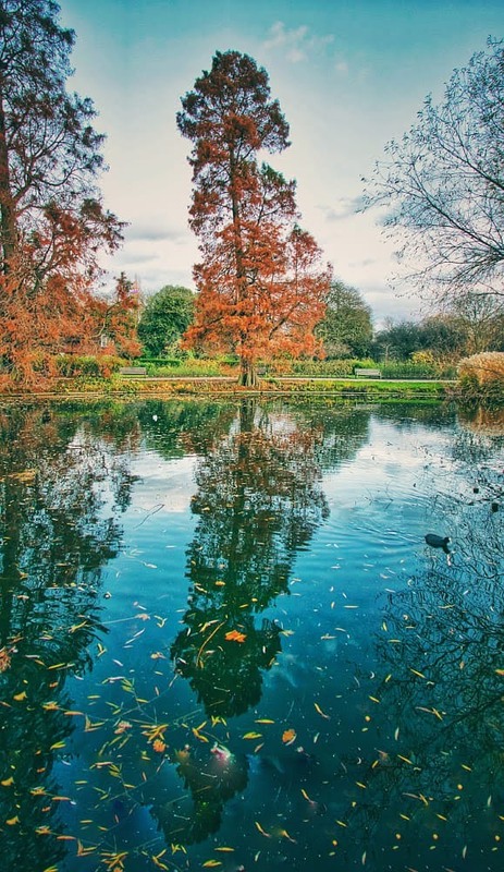 Reflections.jpg